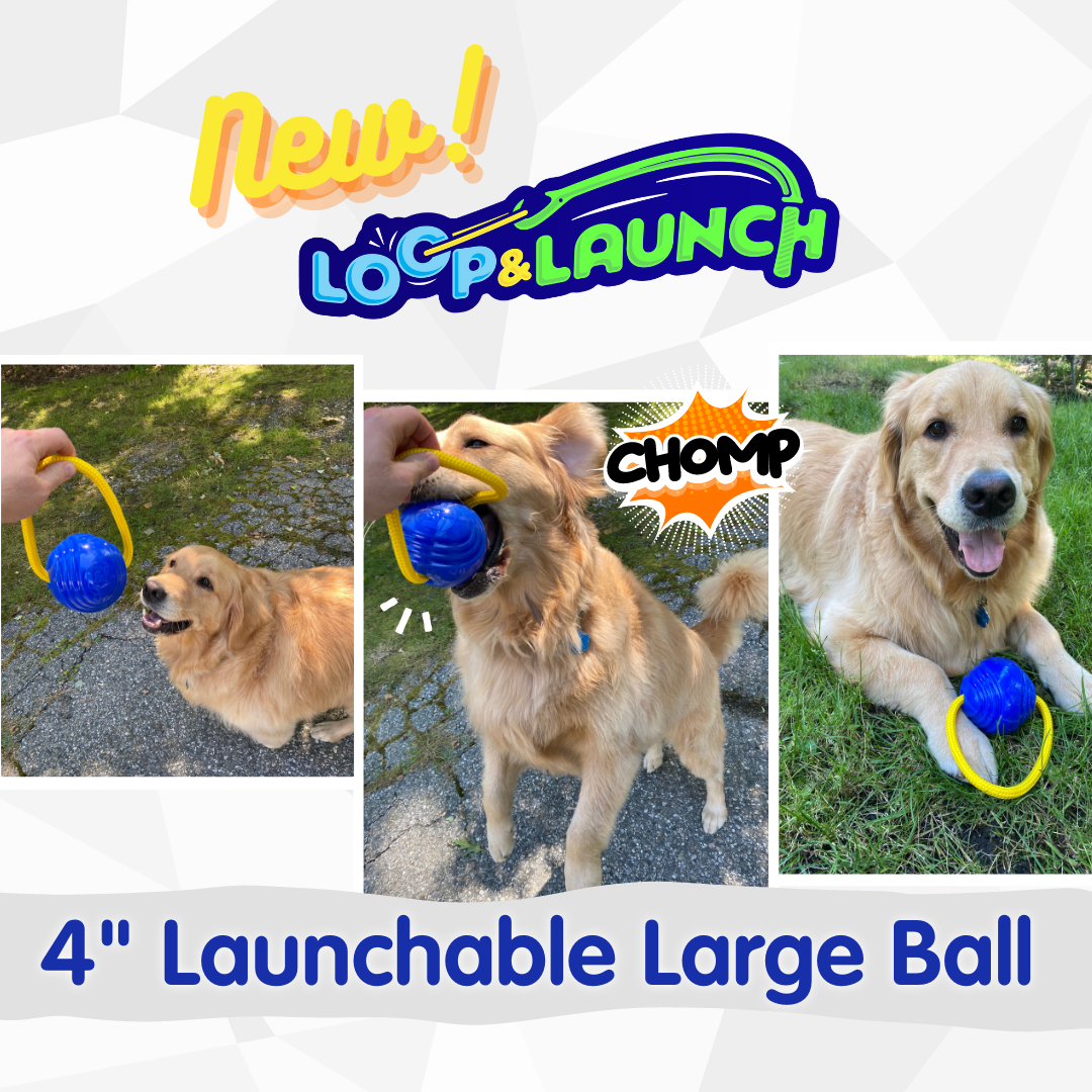 NEW Large 4" Launchable Ball 'Launch' for SuperZoo 2023
